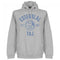 Esteghlal Established Hoodie - Grey - Terrace Gear