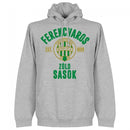 Ferencvaros Established Hoodie - Grey - Terrace Gear