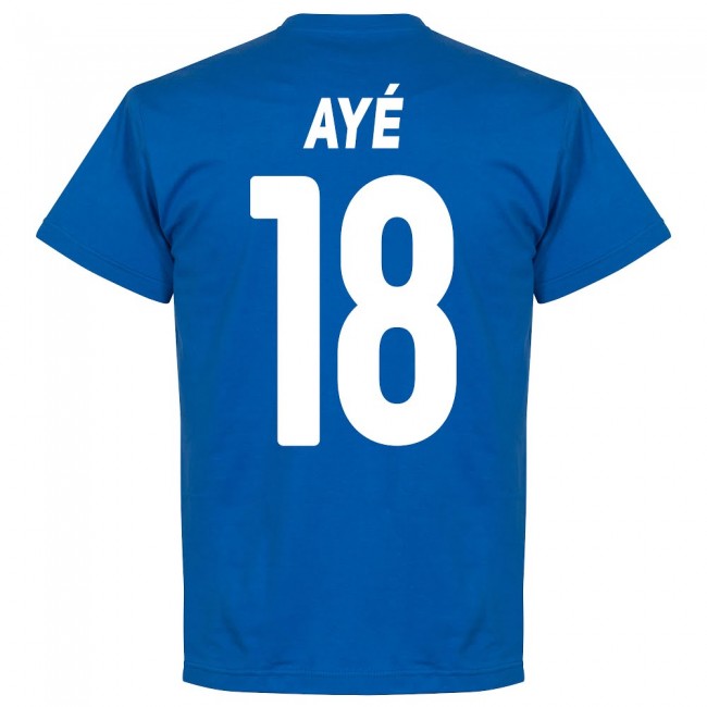 Brescia Aye 18 Team T-Shirt - Royal