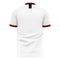 Albania 2020-2021 Away Concept Football Kit (Libero) - Adult Long Sleeve
