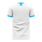 Argentina 2020-2021 Home Concept Football Kit (Libero) (Your Name)