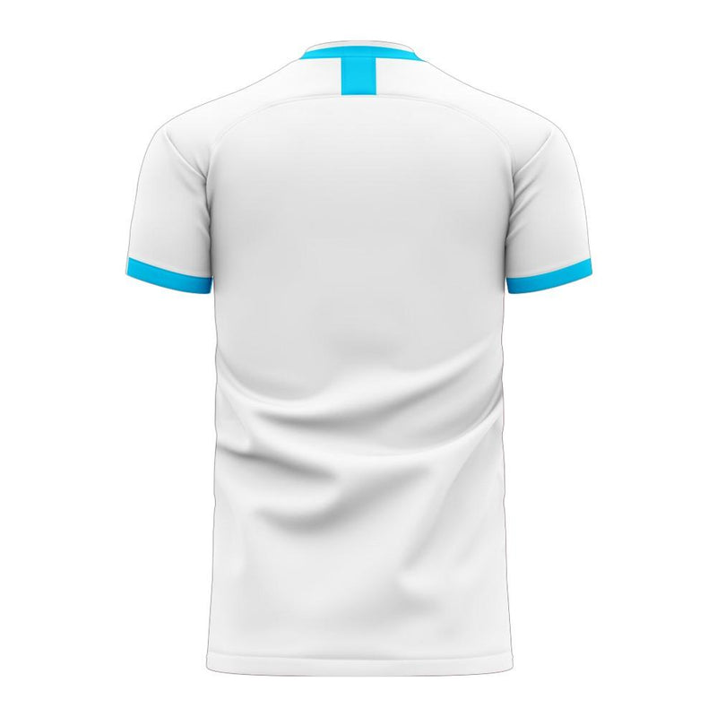 Argentina 2020-2021 Home Concept Football Kit (Libero) (Your Name)