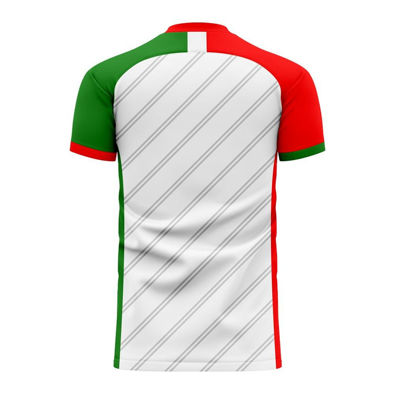 Belarus 2020-2021 Home Concept Football Kit (Libero) - Kids (Long Sleeve)