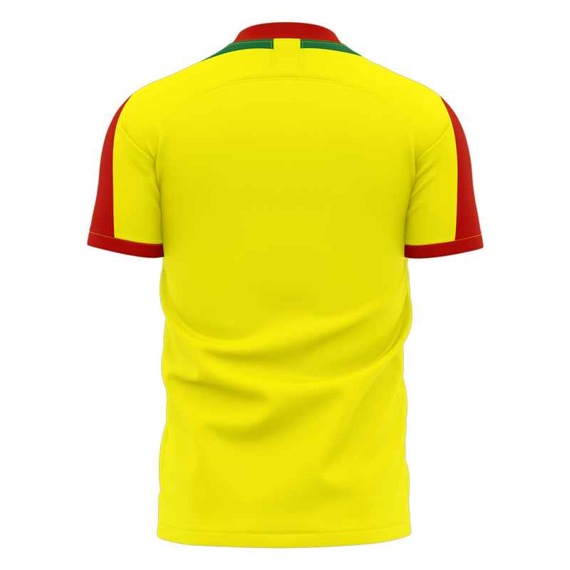 Benin 2022-2023 Home Concept Football Kit (Libero)