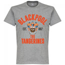 Blackpool Established T-Shirt - Grey