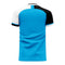 Botswana 2020-2021 Home Concept Football Kit (Libero) - Womens