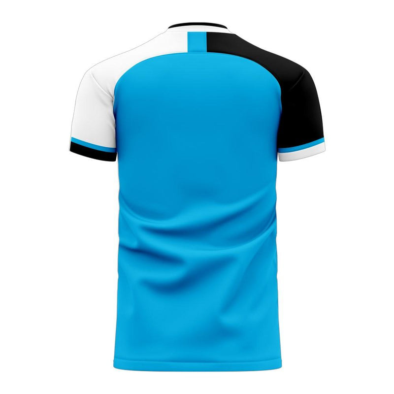 Botswana 2020-2021 Home Concept Football Kit (Libero) - Womens