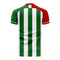 Bursaspor 2020-2021 Home Concept Football Kit (Airo) - Adult Long Sleeve