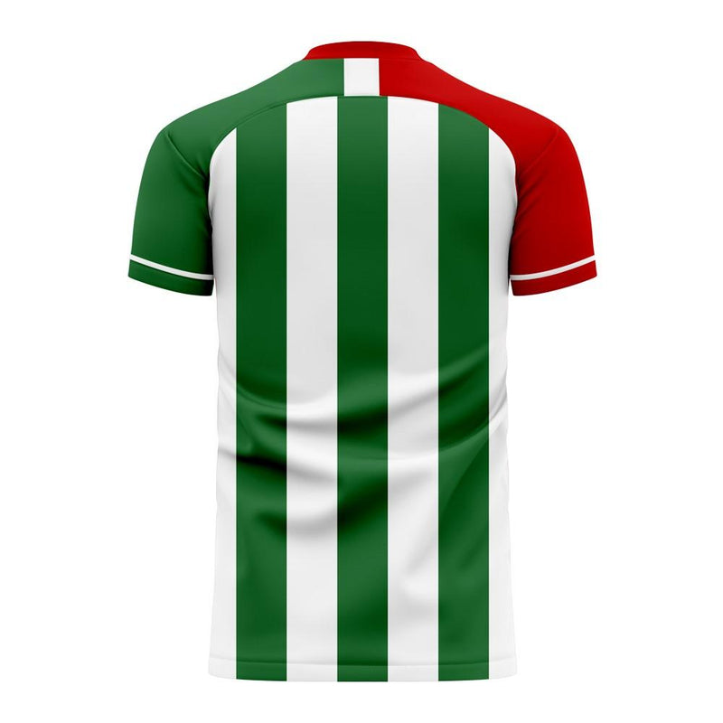 Bursaspor 2020-2021 Home Concept Football Kit (Airo) - Adult Long Sleeve