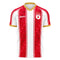 Red Star Belgrade 2022-2023 Home Concept Football Kit (Libero)