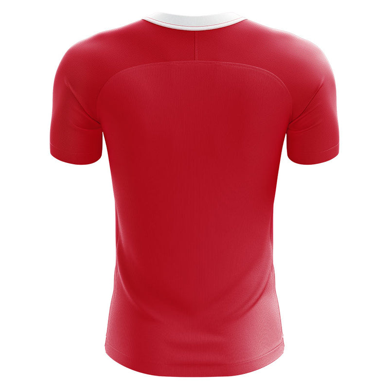 Denmark 2020-2021 Home Concept Football Kit (Airo) - Terrace Gear