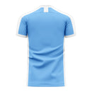 Djibouti 2022-2023 Home Concept Football Kit (Libero)