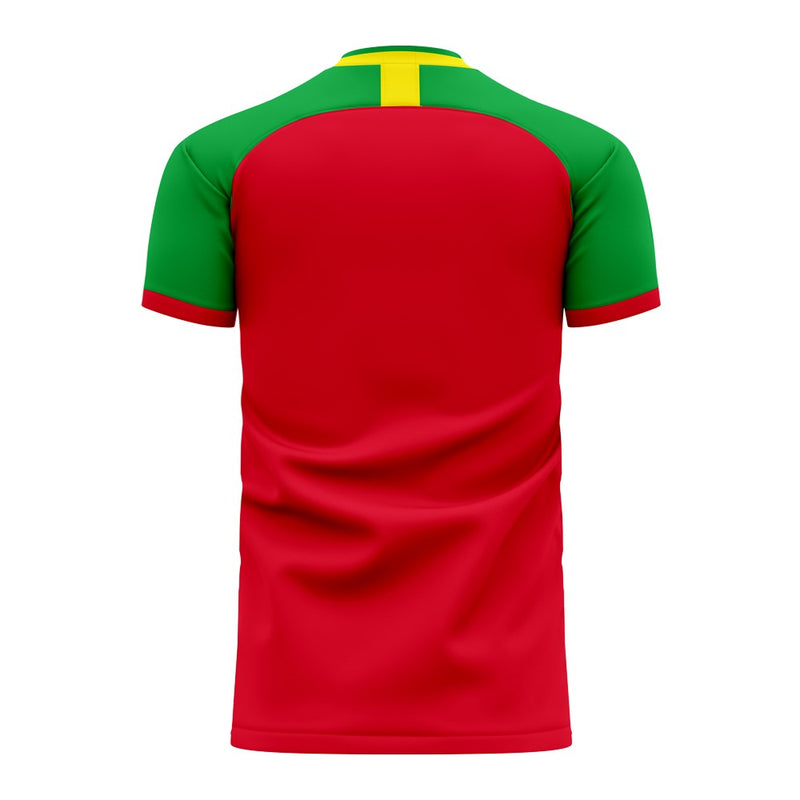 Guinea 2022-2023 Home Concept Football Kit (Libero)