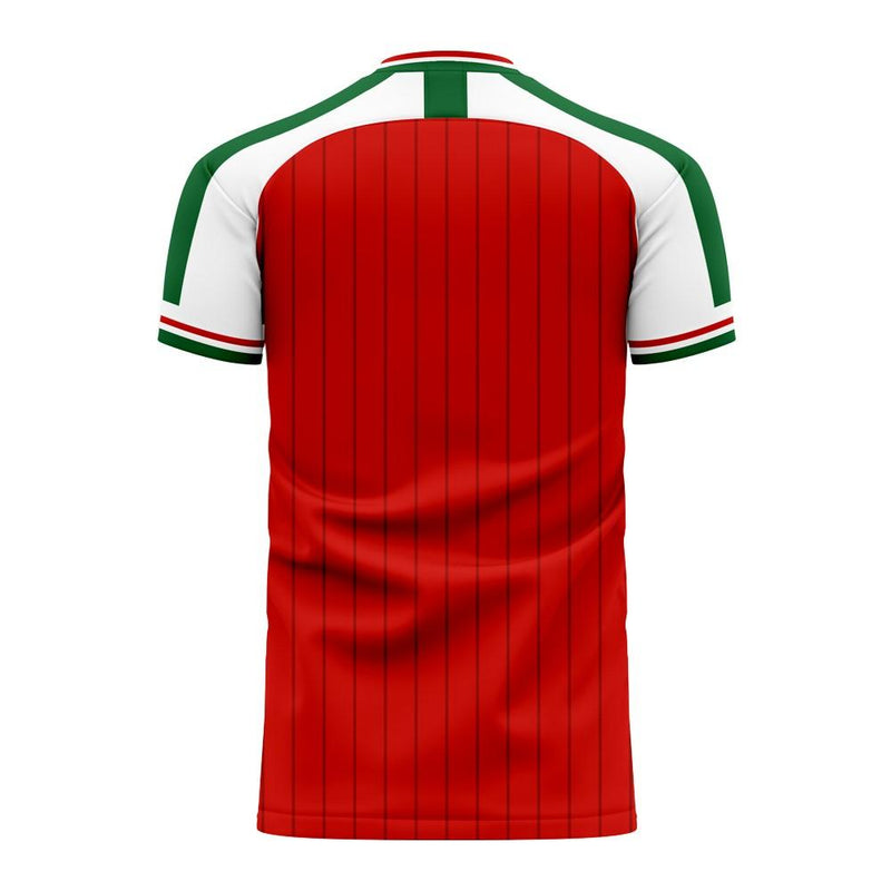 Hungary 2020-2021 Home Concept Football Kit (Libero) (GERA 10)