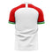 Jordan 2020-2021 Home Concept Football Kit (Libero) - Adult Long Sleeve