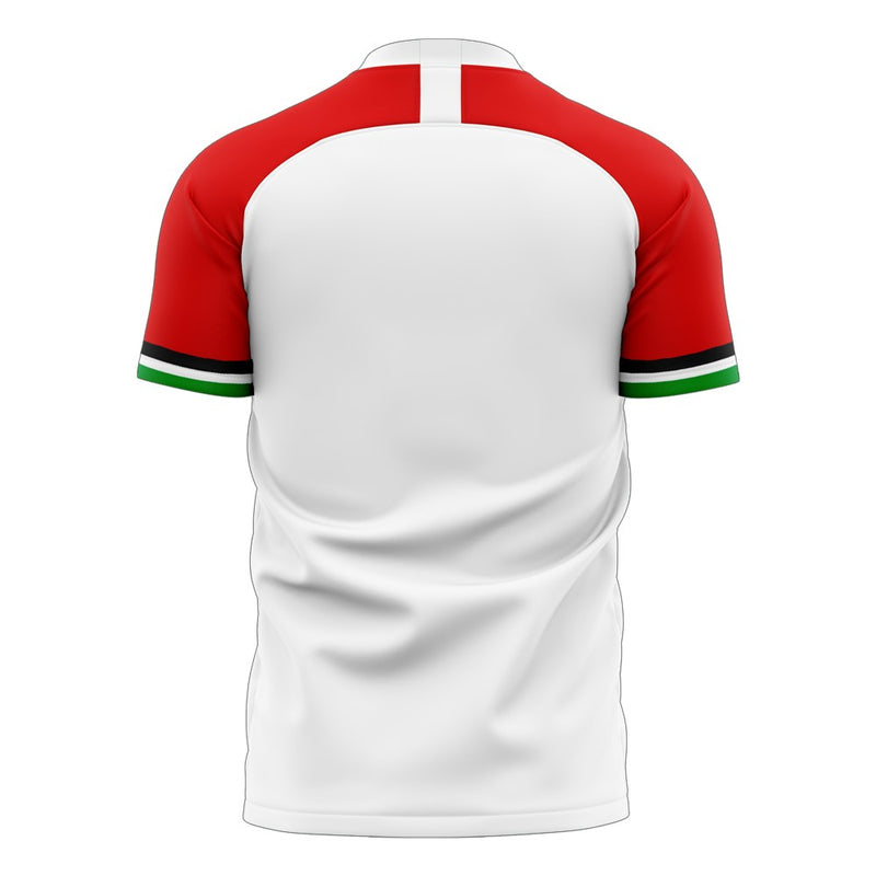 Jordan 2022-2023 Home Concept Football Kit (Libero)