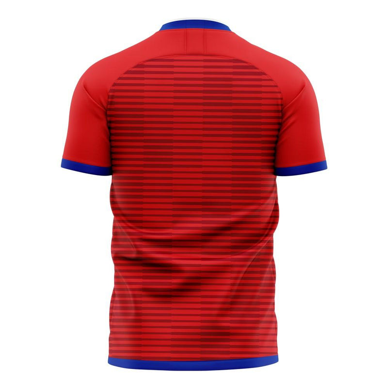 South Korea 2020-2021 Home Concept Football Kit (Libero) - Adult Long Sleeve