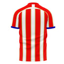 Liberia 2022-2023 Home Concept Football Kit (Libero)