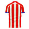 Liberia 2021-2022 Home Concept Football Kit (Libero) - Adult Long Sleeve