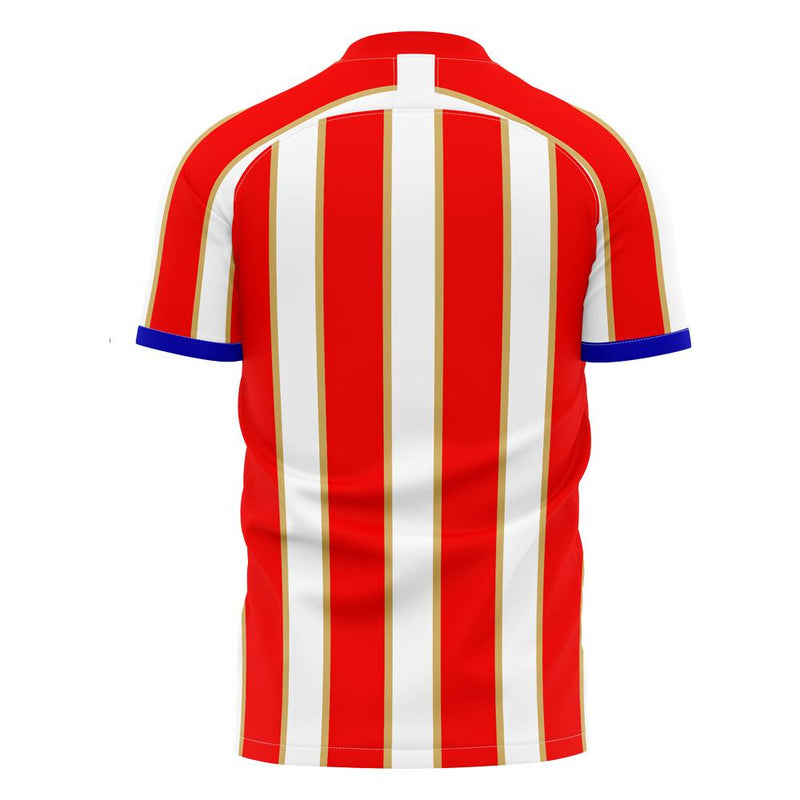 Liberia 2021-2022 Home Concept Football Kit (Libero) - Kids (Long Sleeve)