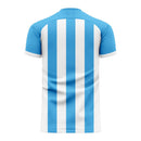 Diego Maradona Argentina Silhouette Concept Shirt