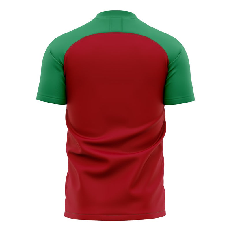 Morocco 2020-2021 Home Concept Football Kit (Libero) - Terrace Gear