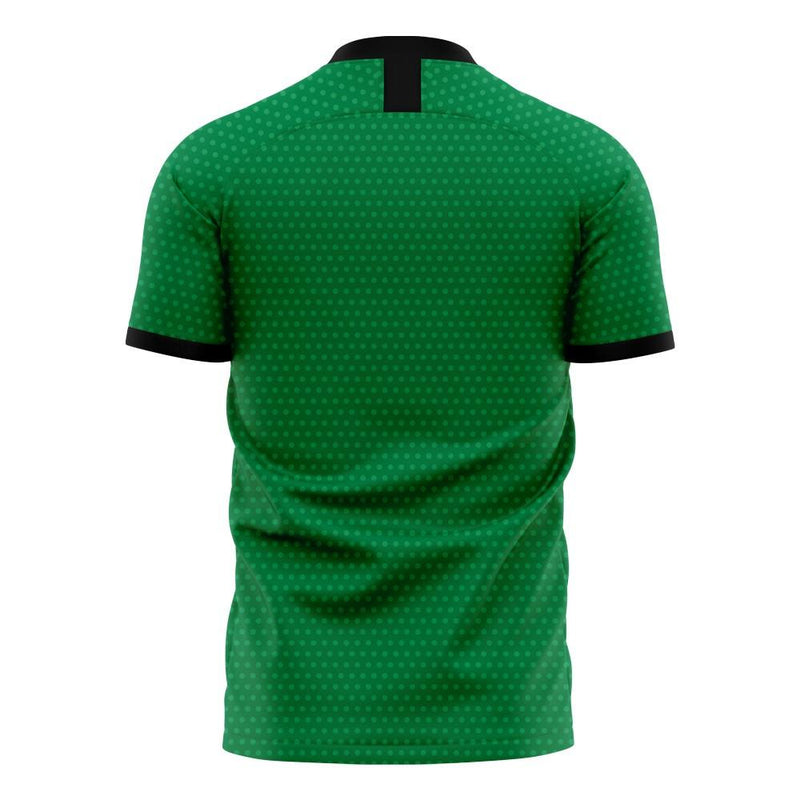 Nigeria 2020-2021 Home Concept Football Kit (Libero) (MARTINS 9)