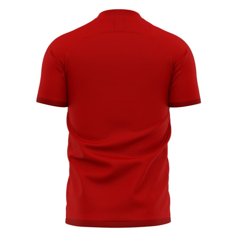 Nurnberg 2020-2021 Home Concept Football Kit (Libero) - Kids