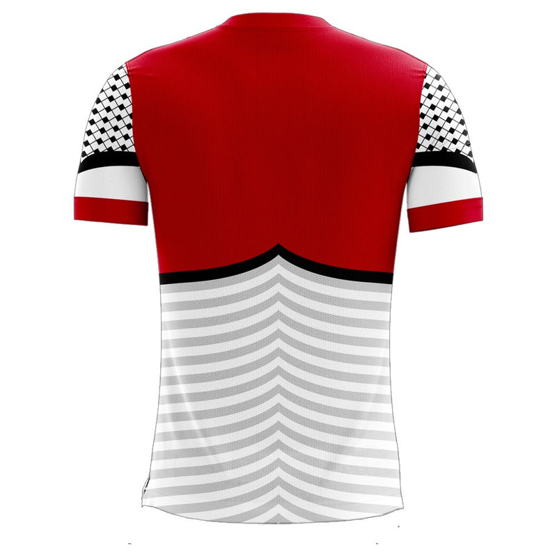 Palestine 2022-2023 Home Concept Football Kit (Libero)