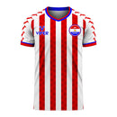 Paraguay 2022-2023 Home Concept Football Kit (Viper)