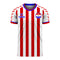 Paraguay 2022-2023 Home Concept Football Kit (Viper)