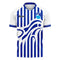 Pescara 2022-2023 Home Concept Football Kit (Libero)