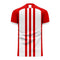 River Plate de Montevideo 2022-2023 Home Concept Football Kit (Libero)