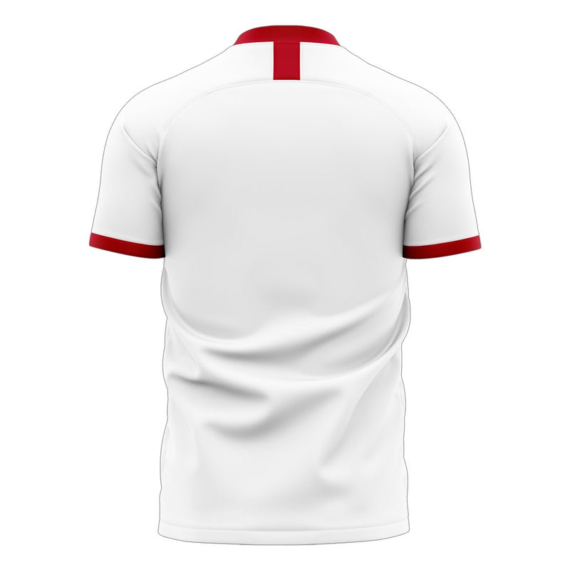 Hansa Rostock 2022-2023 Away Concept Football Kit (Libero)