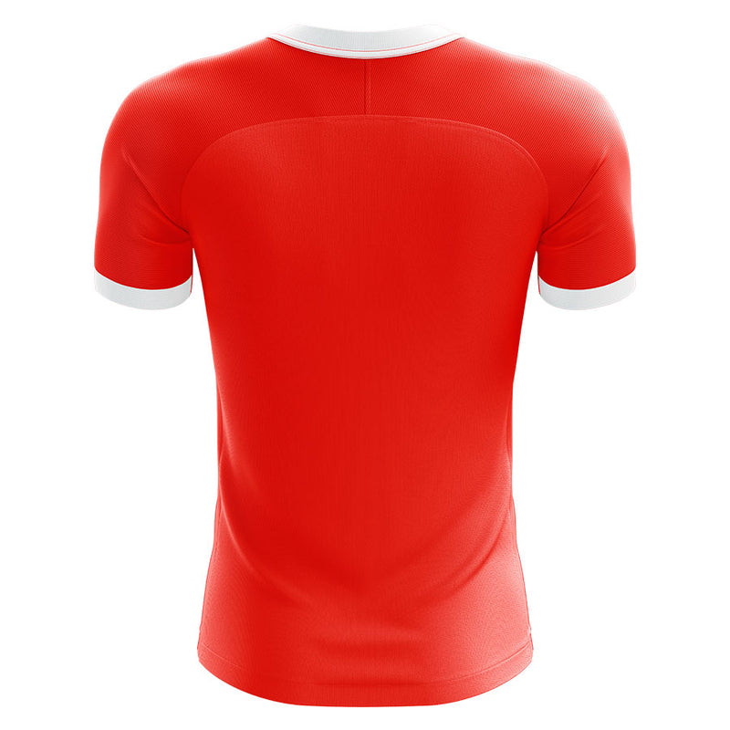 Switzerland 2020-2021 Home Concept Football Kit (Airo) - Terrace Gear