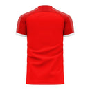 Serbia 2020-2021 Home Concept Football Kit (Libero) (JOVIC 19)