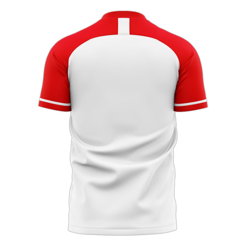 Tunisia 2020-2021 Home Concept Football Kit (Libero) - Terrace Gear