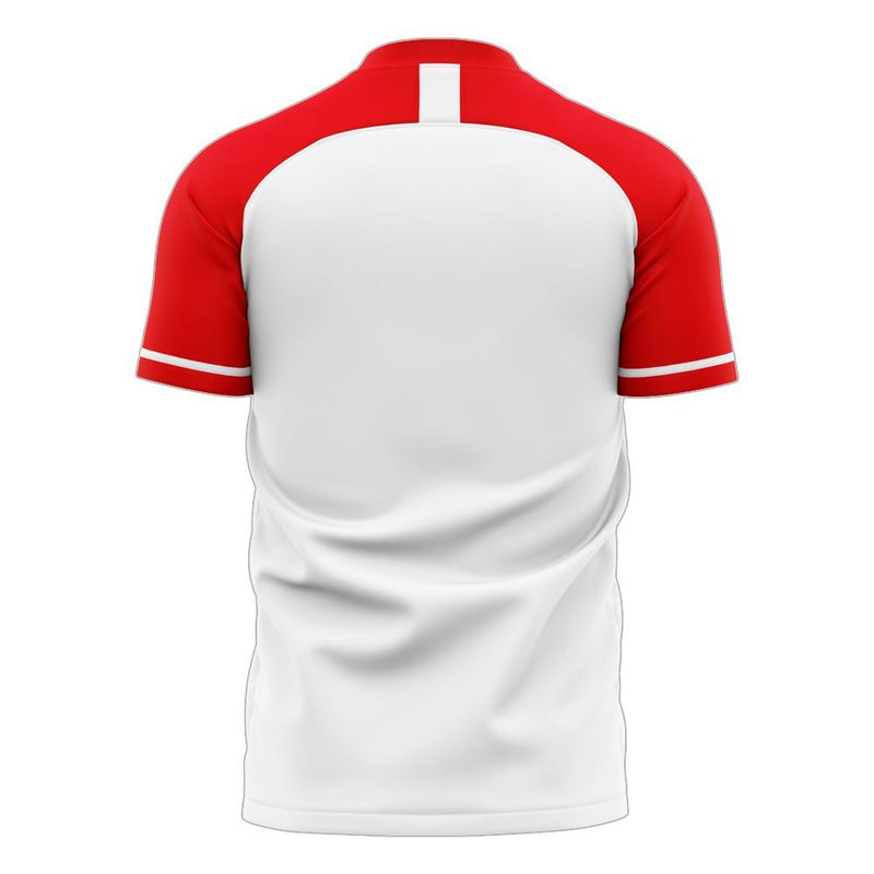 Tunisia 2020-2021 Home Concept Football Kit (Libero) - Womens